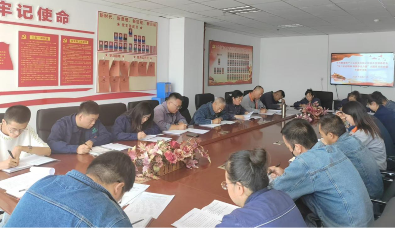 工投公司基層黨支部開展學(xué)習黨的二十屆三中全會主題黨日活動